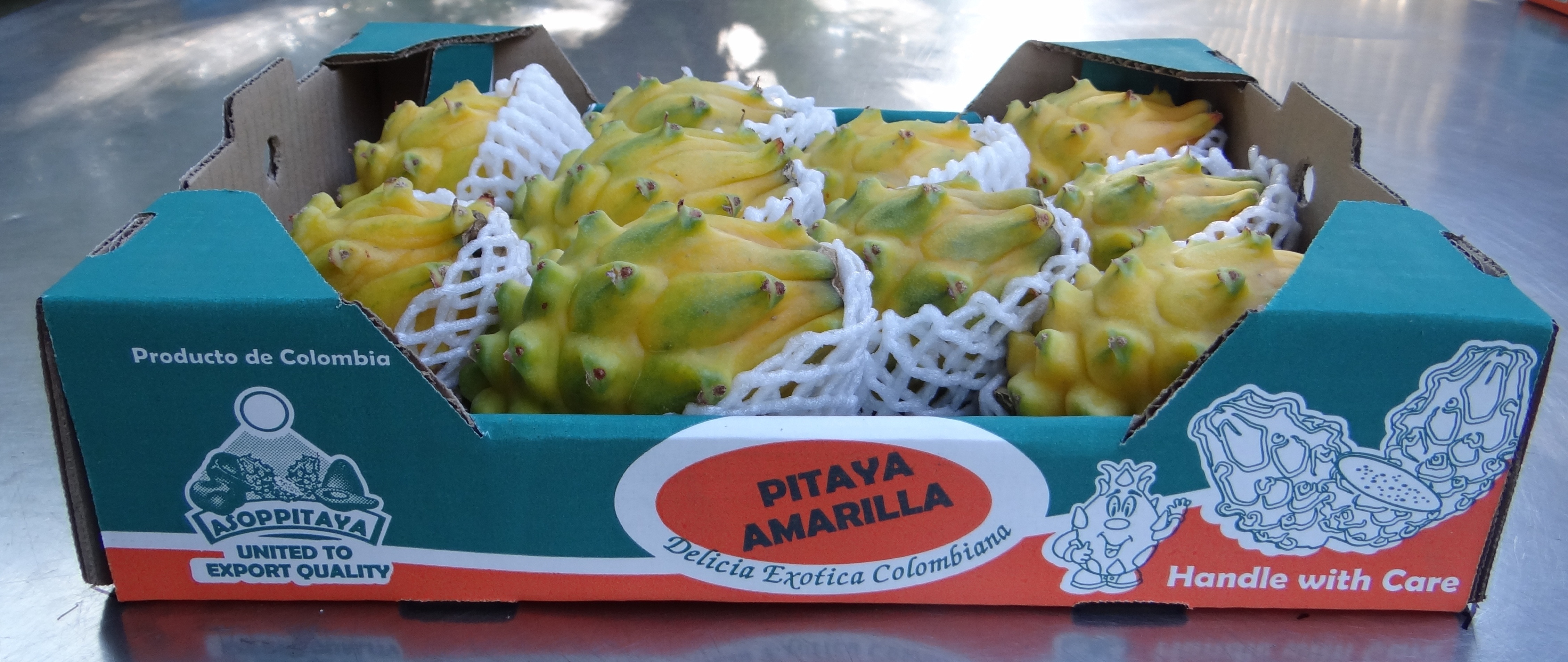 Fruta del Dragón  - Asoppitaya